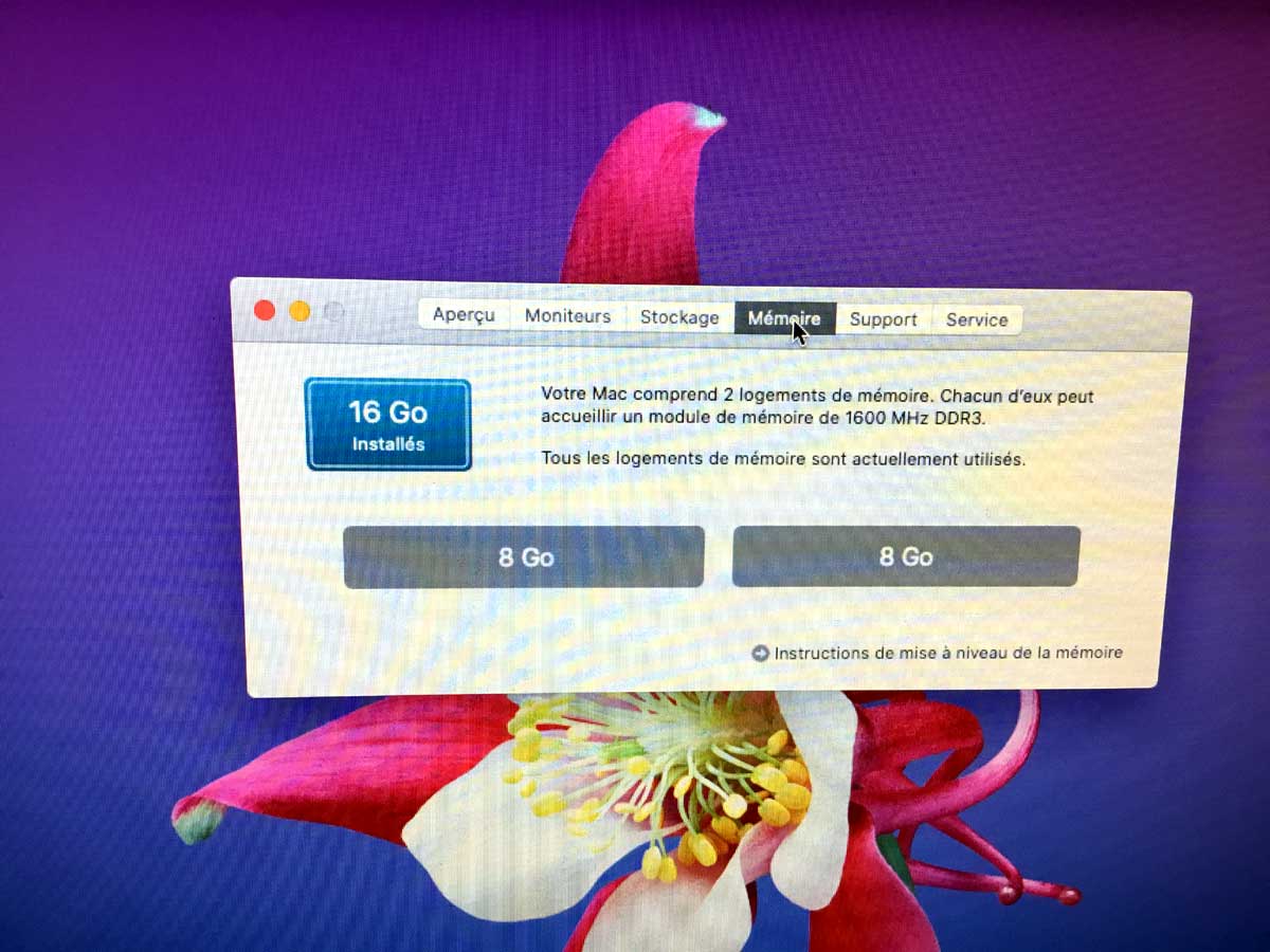 Mac mini ouvert