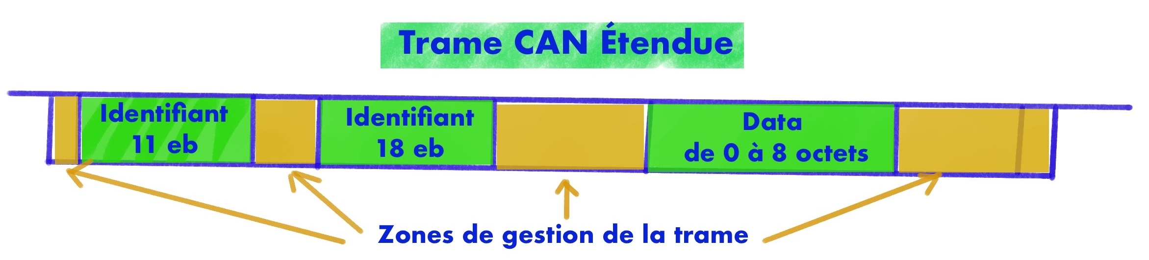 structure bus can trame etendue