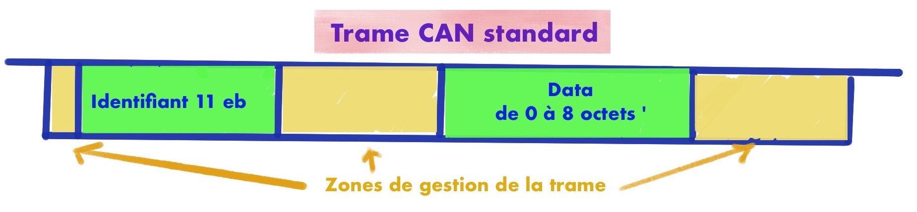 structure bus can trame standard