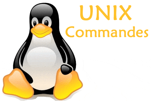 unix commandes