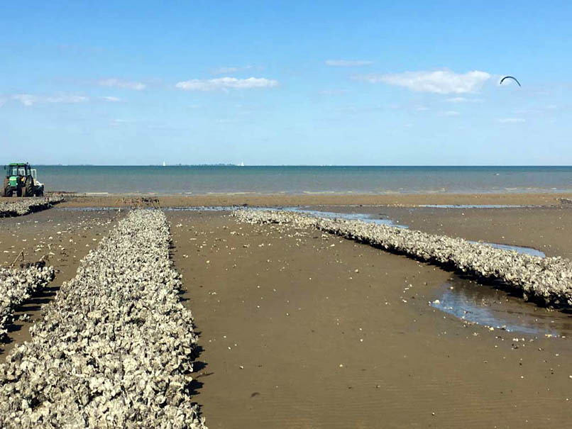 Rivedoux-Plage_4