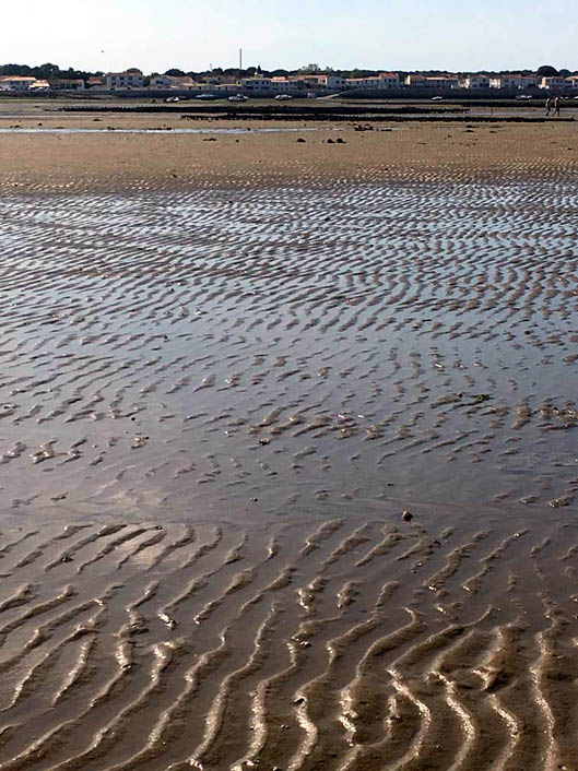 Rivedoux Plage 