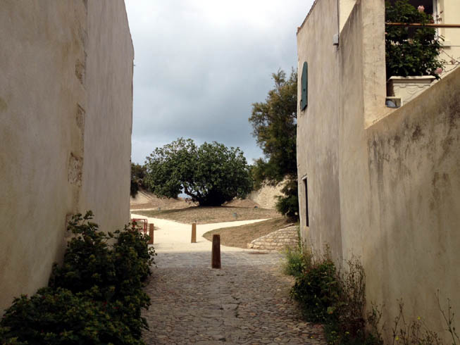 Saint Martin 