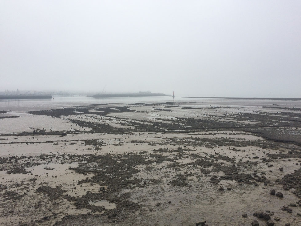 Face au port de plaisance des Minimes