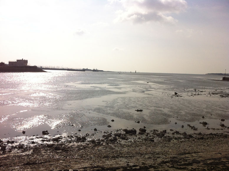 Vue sur le chenal du vieux port