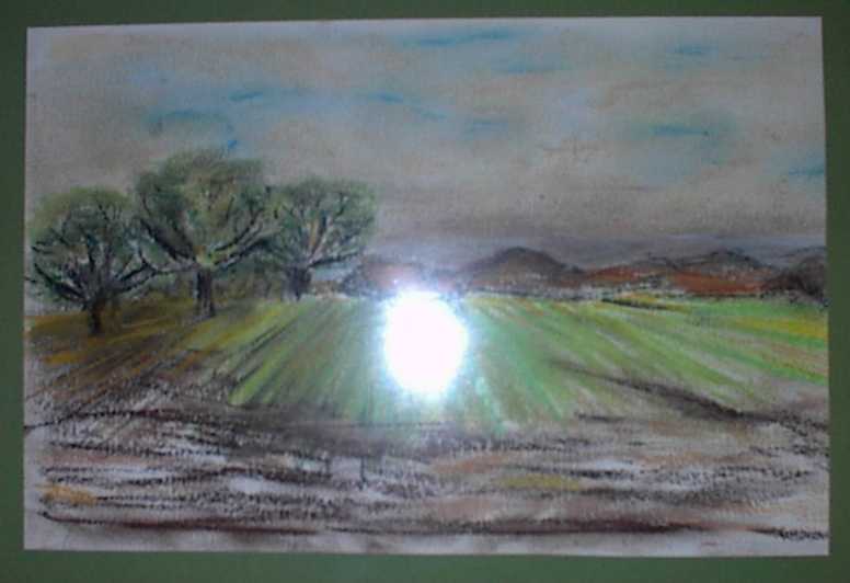 M_Paysage1