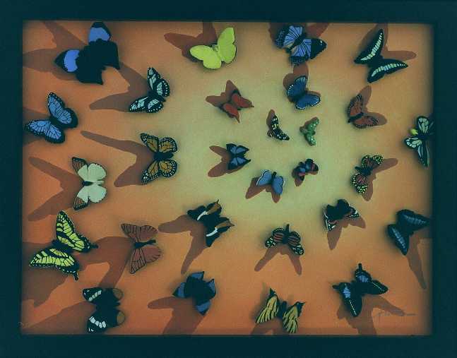 peinture huile ceramique papillon henri bertrou