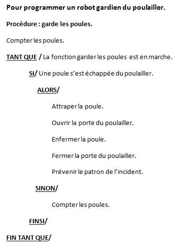 Procédurale langage bas niveau