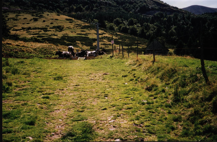 auvergne15