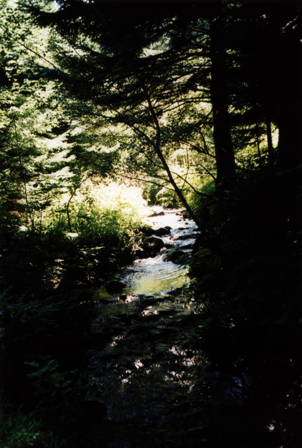 auvergne2