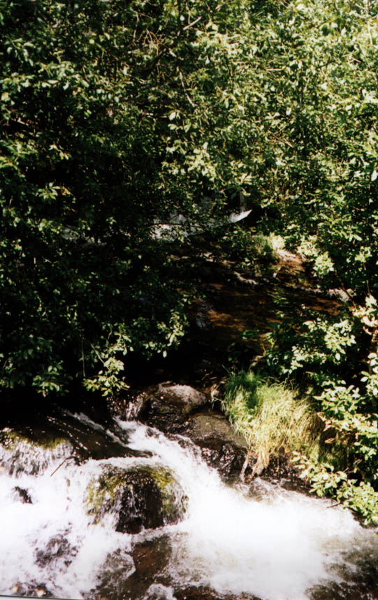 auvergne3