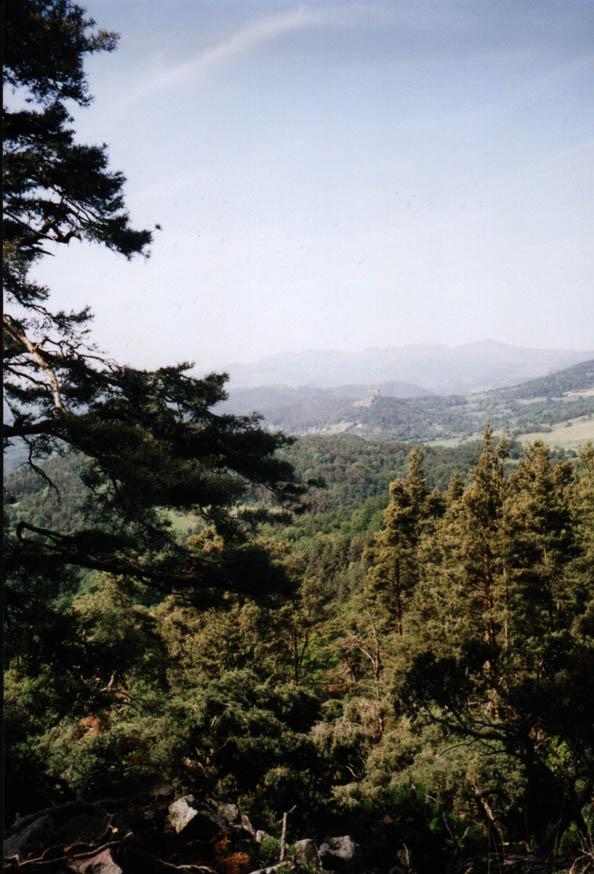 auvergne40