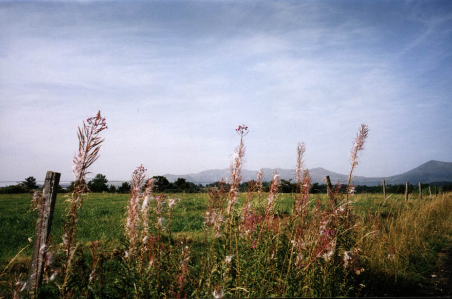auvergne47