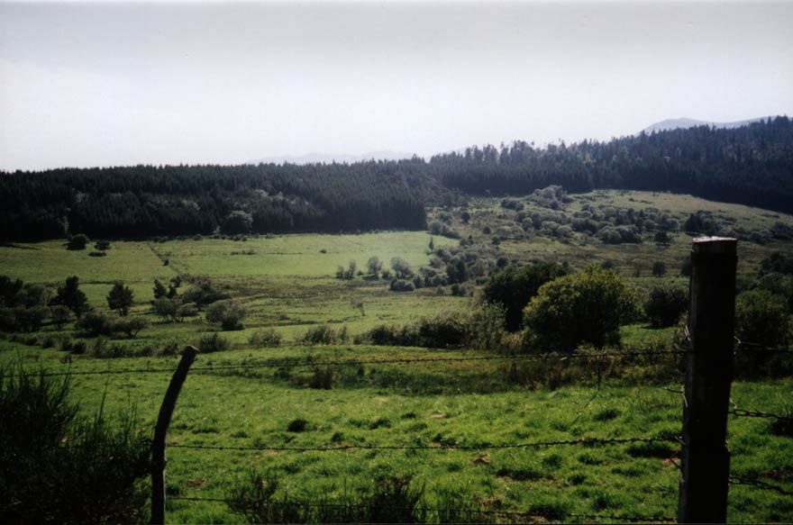 auvergne51