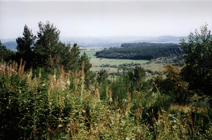 auvergne53