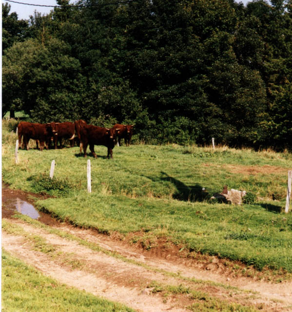 auvergne6