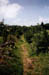 auvergne21