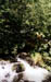 auvergne3