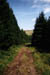 auvergne36