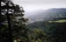 auvergne39