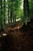 auvergne4