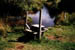 auvergne5