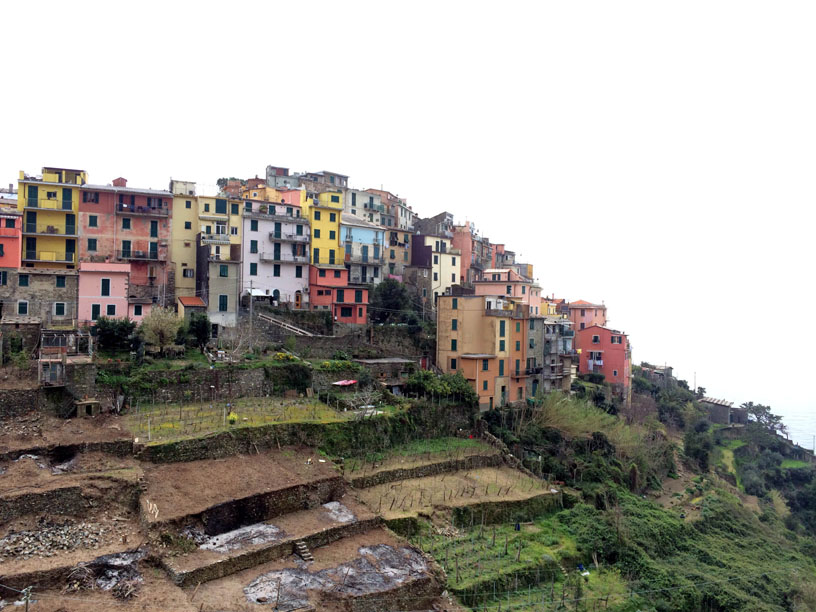 Cinque Terre 2014