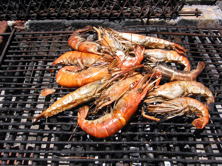 Gambas