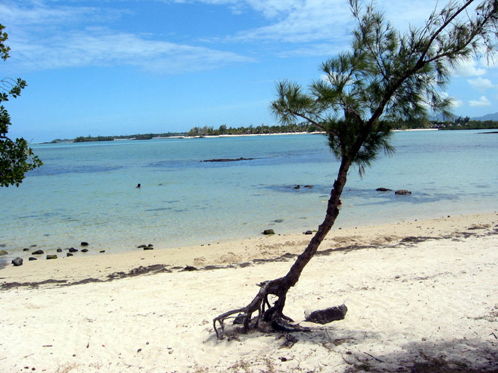 paysage mer 