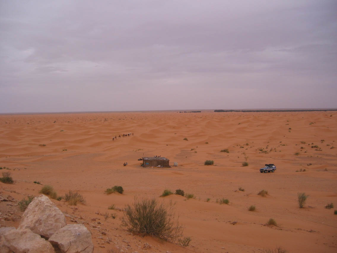 Desert