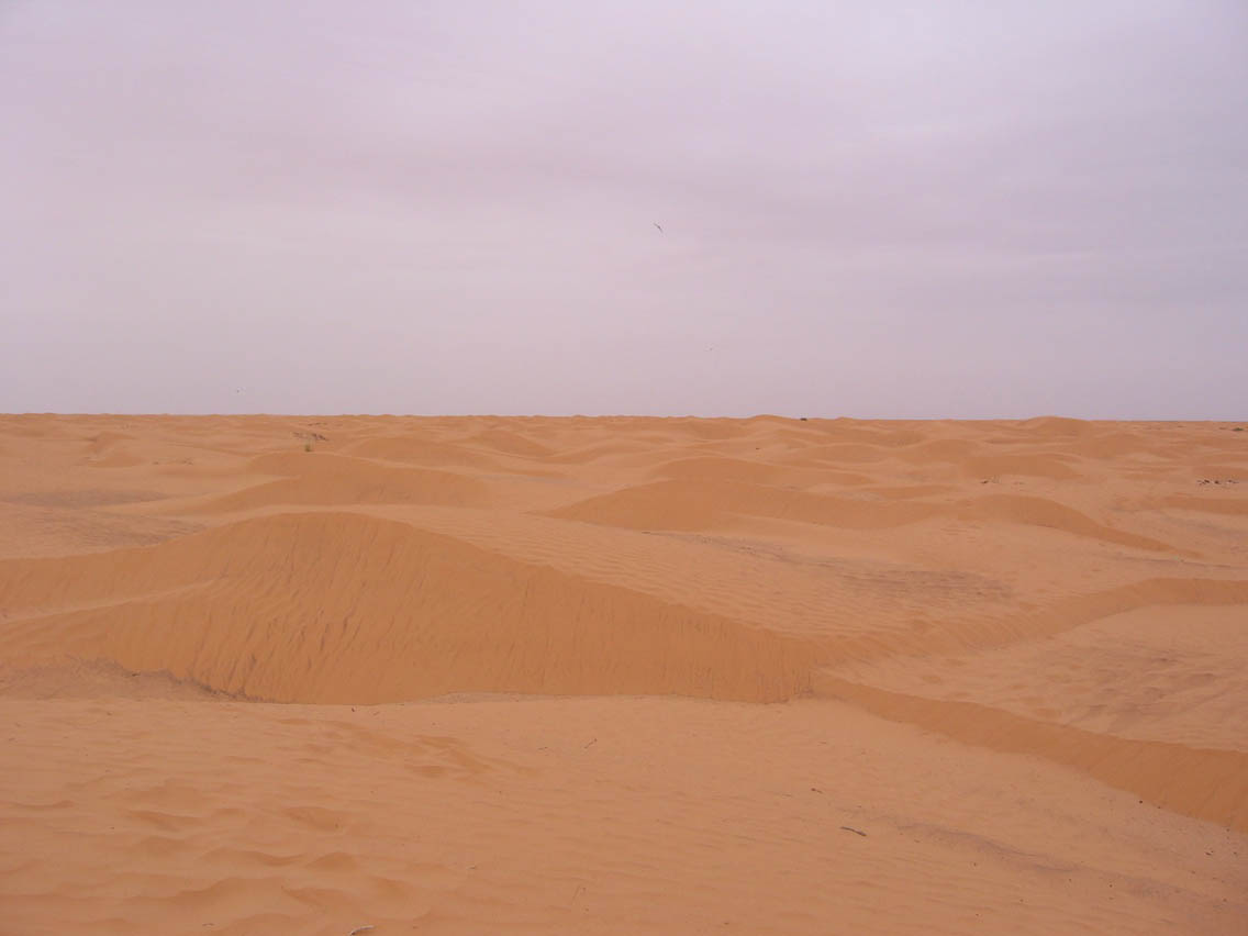 Desert