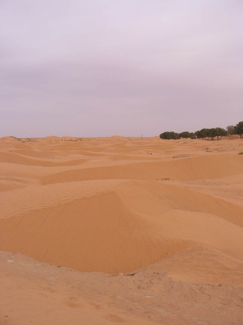 Desert