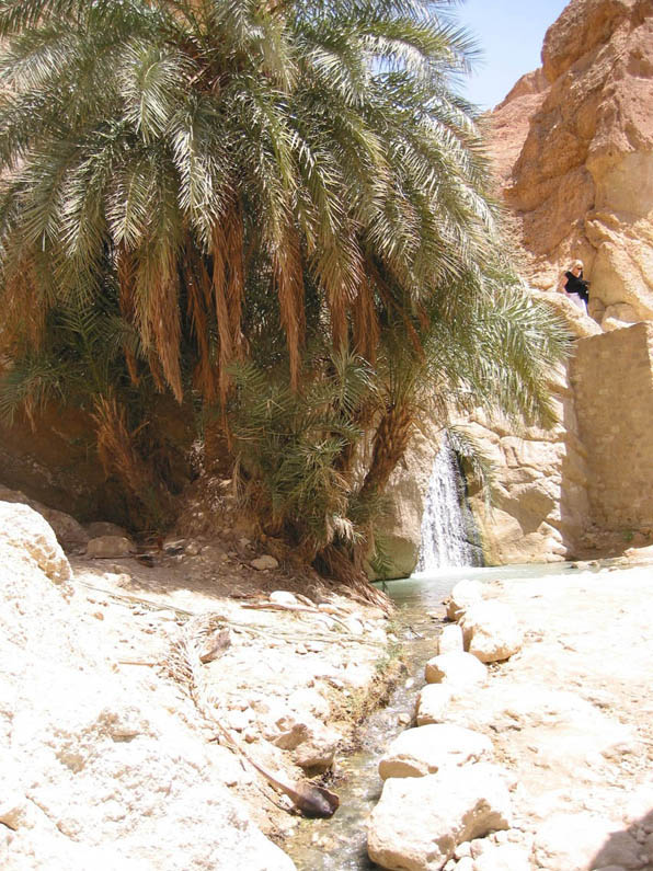 Oasis Tunisie