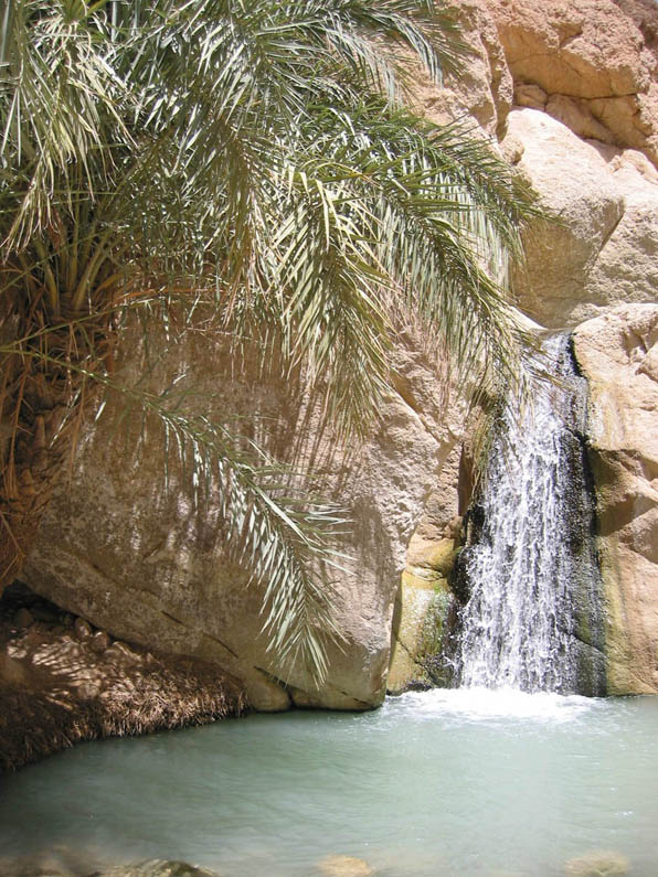 Oasis La Tunisie