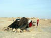 Bivouac