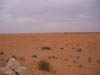 Desert