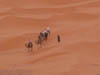Desert Chameaux 4