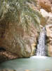Oasis 5