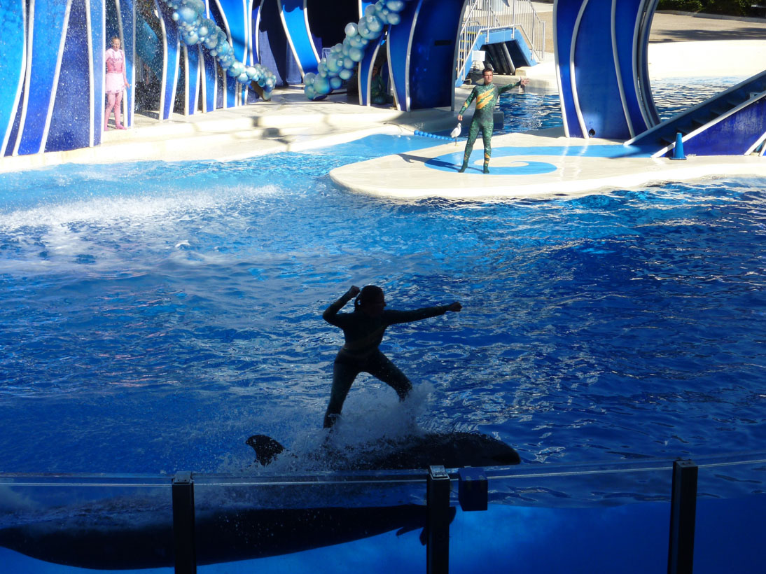 Orlando_SeaWorld2