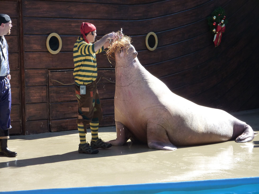 Orlando SeaWorld