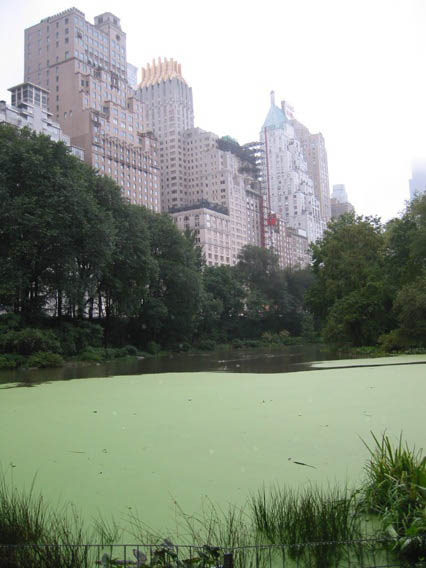 central_park
