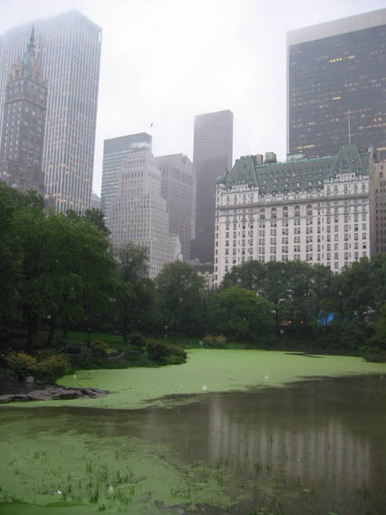 central_park2