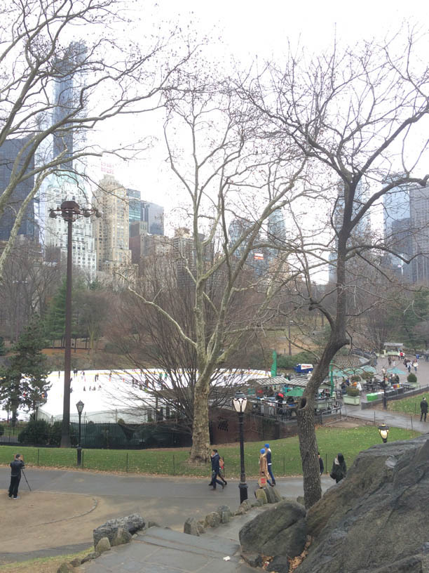 central_park4