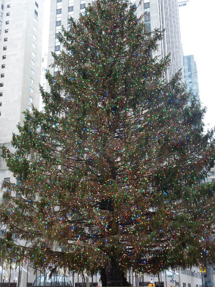 sapin_noel