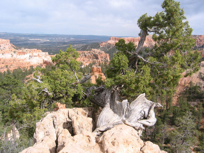 Arizona_Grand_Canyon14
