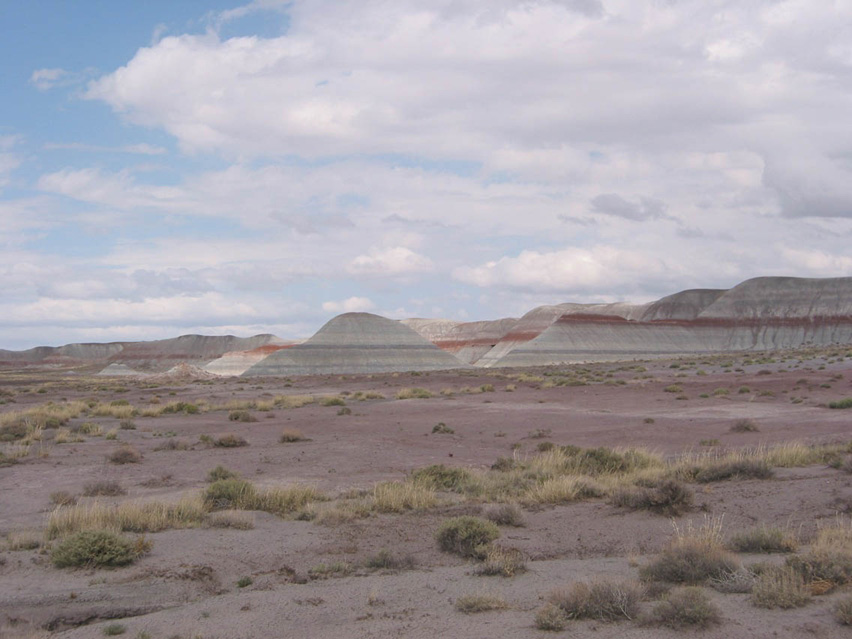 Arizona_Petrified_Forest