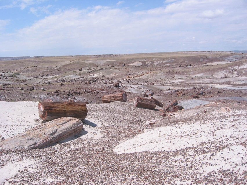 Arizona_Petrified_Forest2