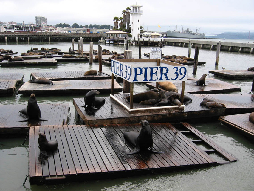 California_San_Francisco2