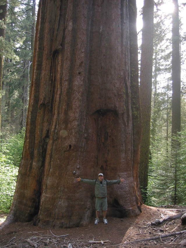 California_Yosemite_Park3