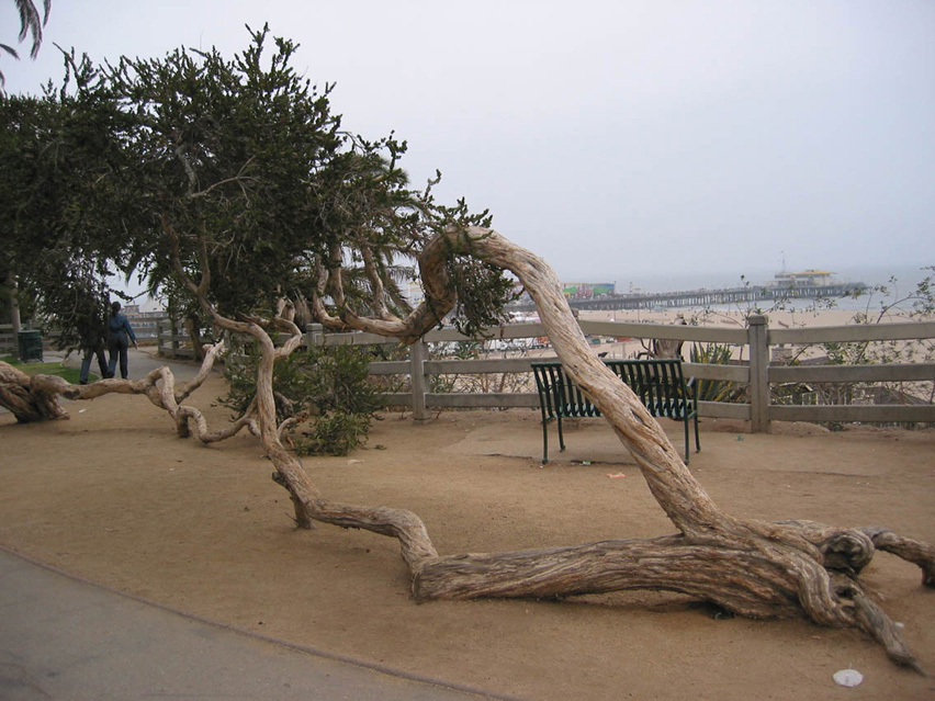 Californie_Los_Angeles_plage